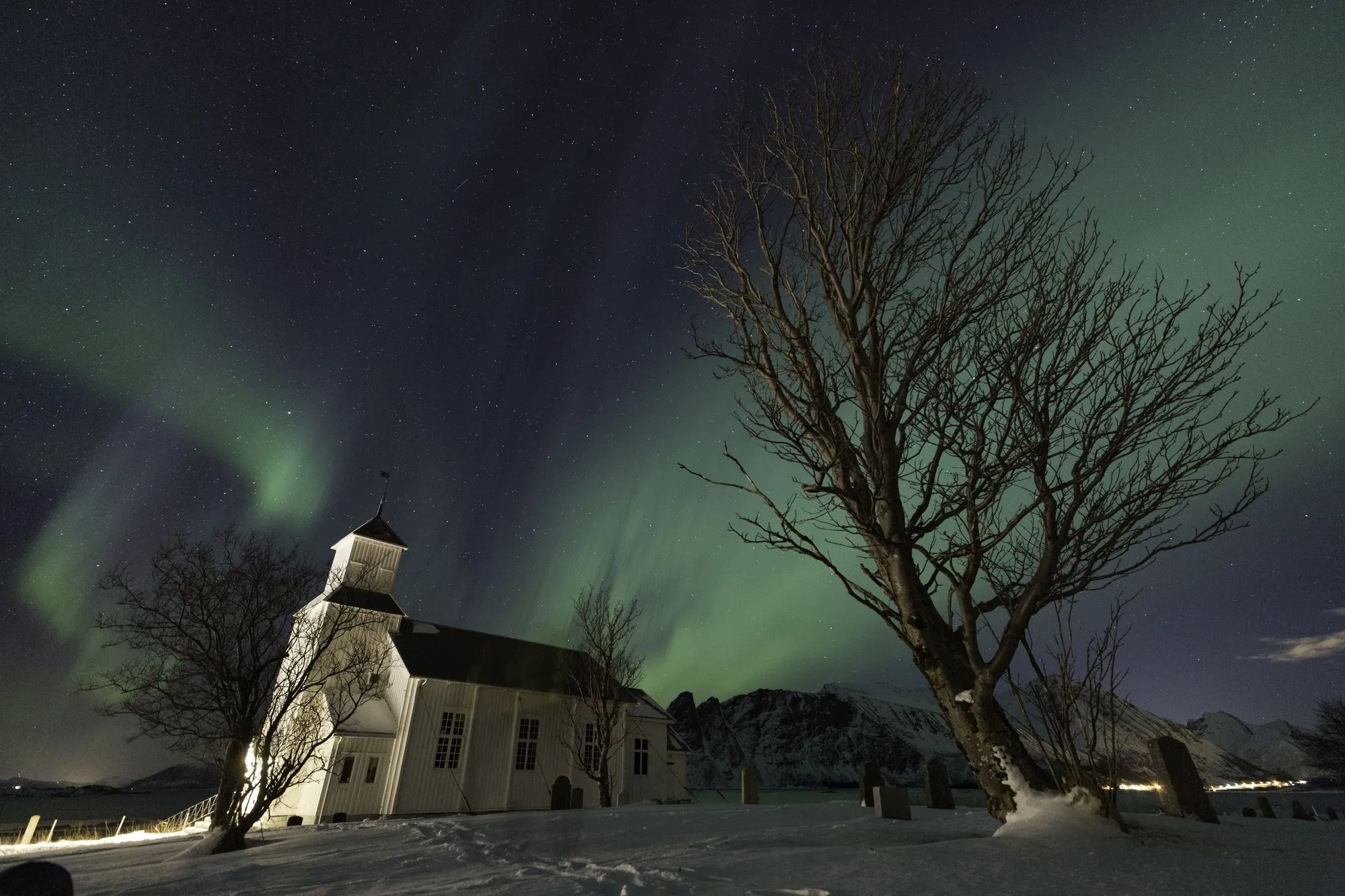 Aurora over a white wooden church and a bare tree in snow