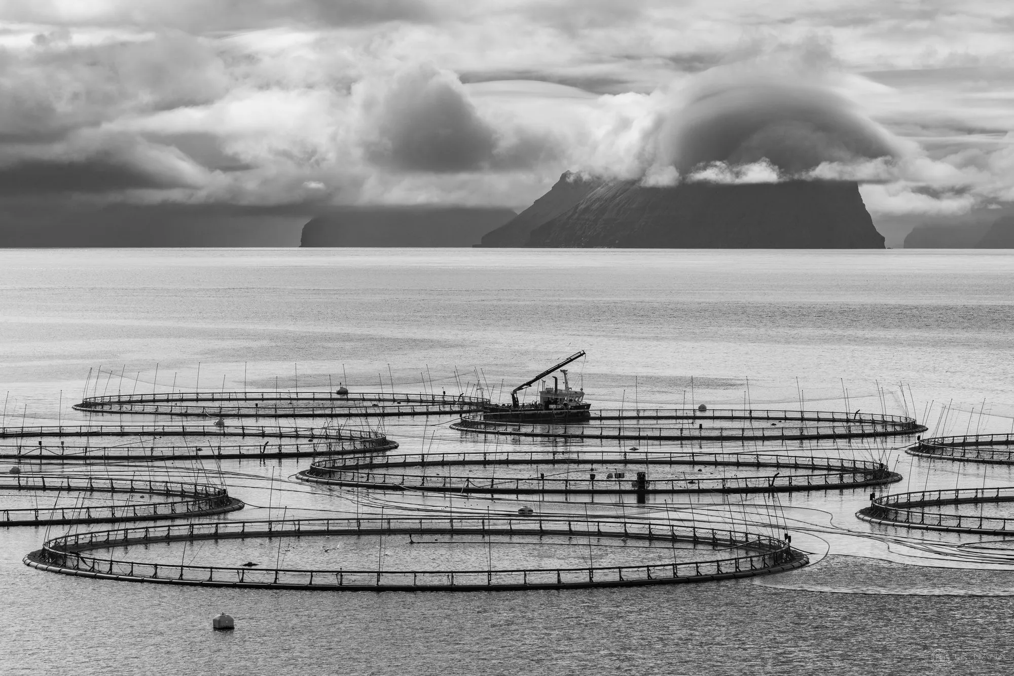 Circular salmon pens on dark water below a cloud-covered headland, in black and white