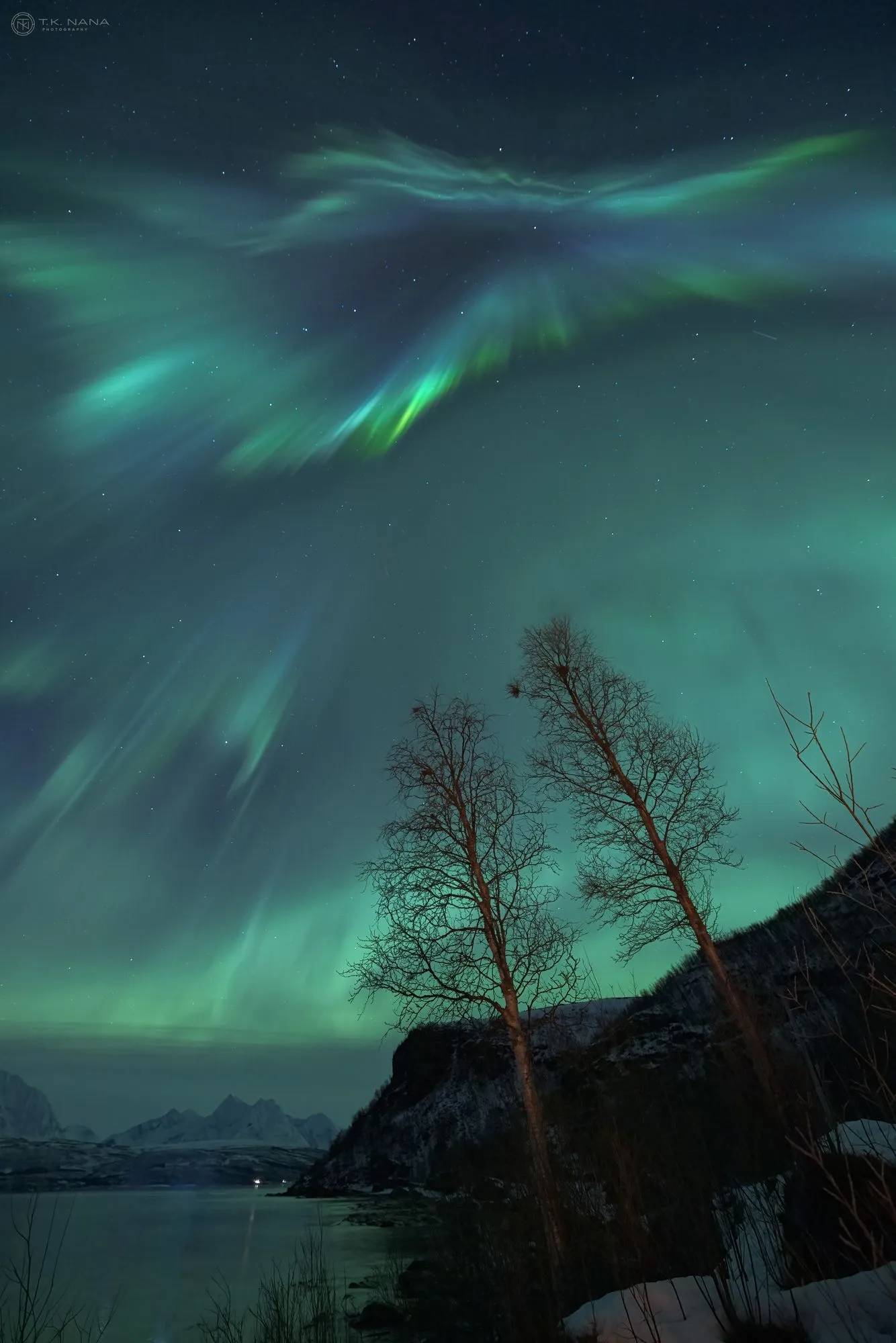 Aurora swirling above bare birch trees on a snowy slope